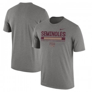 Florida State Seminoles Dri-Fit T-shirt Charcoal 2017 Staff Team 